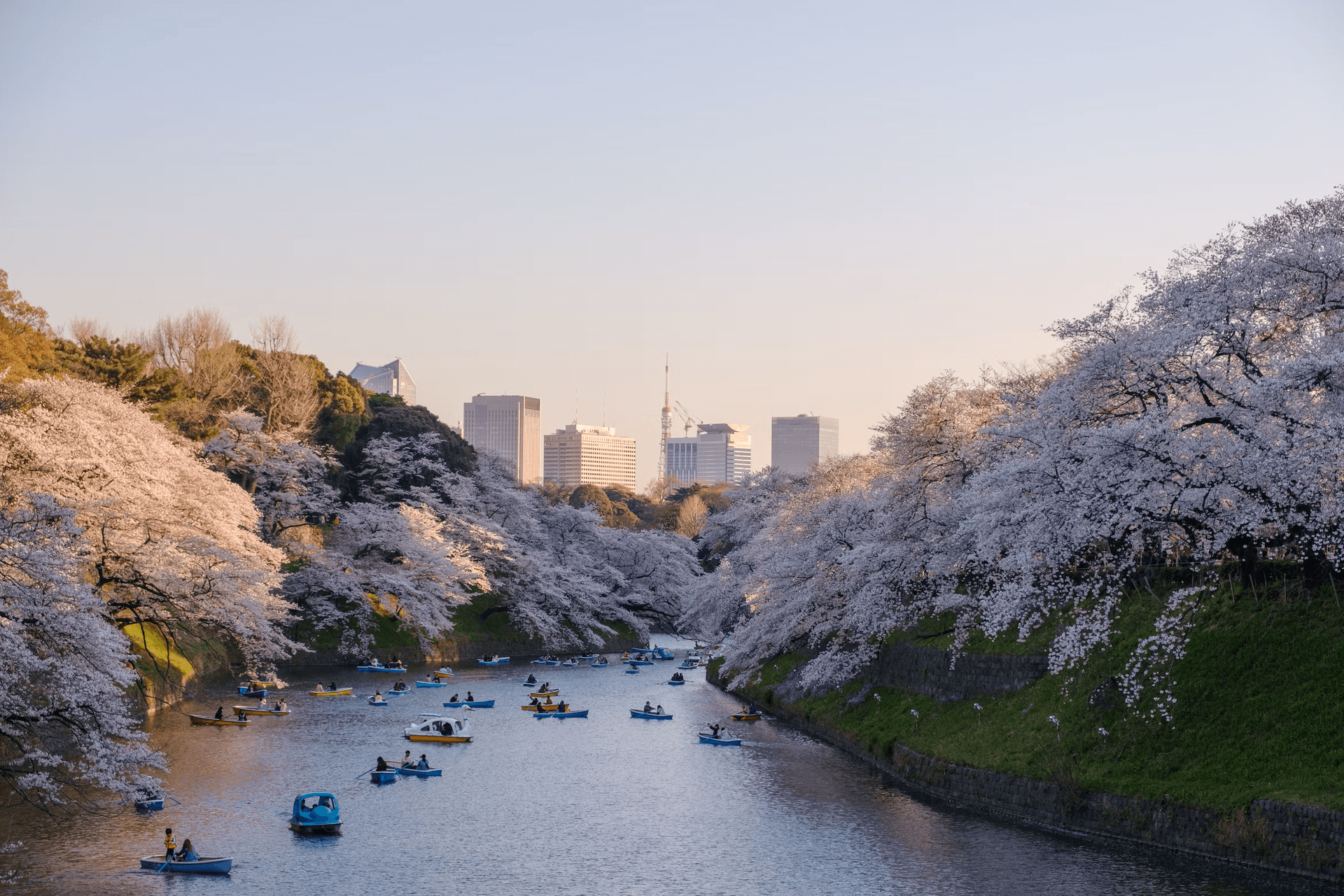 Grand Circle Japan