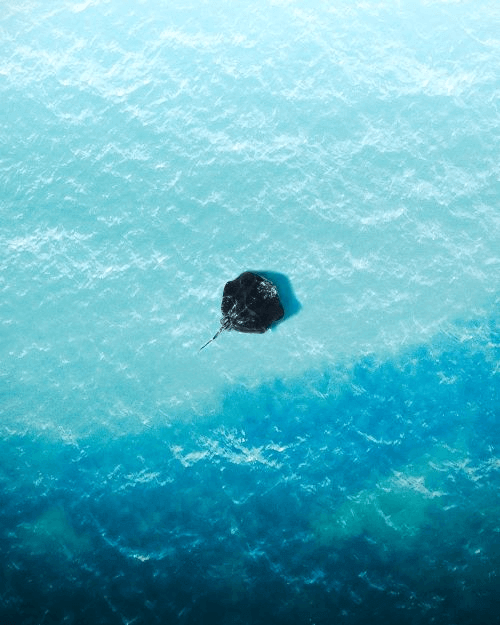 Circle Caribbean